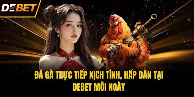 Đá gà trực tiếp kịch tính, hấp dẫn tại Debet mỗi ngày